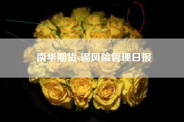 南华期货-锡风险管理日报