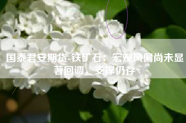 国泰君安期货-铁矿石：宏观风偏尚未显著回调，支撑仍存