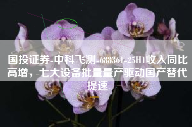 国投证券-中科飞测-688361-25H1收入同比高增，七大设备批量量产驱动国产替代提速