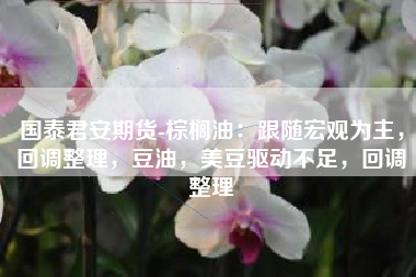 国泰君安期货-棕榈油：跟随宏观为主，回调整理，豆油，美豆驱动不足，回调整理