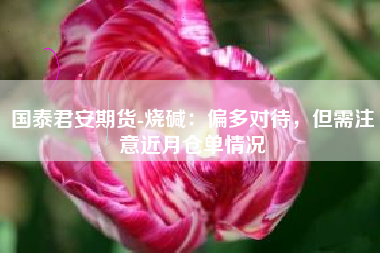 国泰君安期货-烧碱：偏多对待，但需注意近月仓单情况