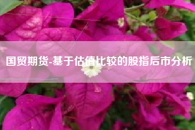 国贸期货-基于估值比较的股指后市分析