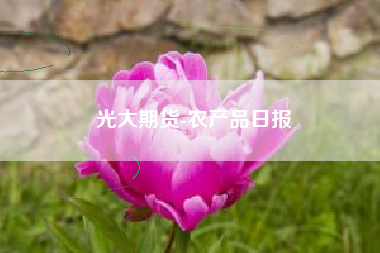 光大期货-农产品日报