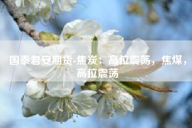 国泰君安期货-焦炭：高位震荡，焦煤，高位震荡