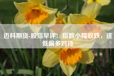 迈科期货-股指早评：指数小幅收跌，逢低偏多对待