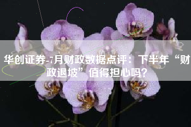 华创证券-7月财政数据点评：下半年“财政退坡”值得担心吗？
