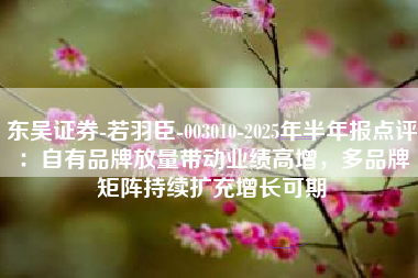 东吴证券-若羽臣-003010-2025年半年报点评：自有品牌放量带动业绩高增，多品牌矩阵持续扩充增长可期