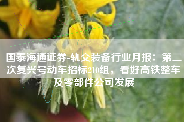 国泰海通证券-轨交装备行业月报：第二次复兴号动车招标210组，看好高铁整车及零部件公司发展
