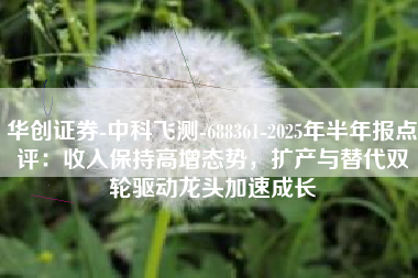 华创证券-中科飞测-688361-2025年半年报点评：收入保持高增态势，扩产与替代双轮驱动龙头加速成长