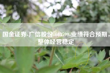 国金证券-广信股份-603599-业绩符合预期，整体经营稳定