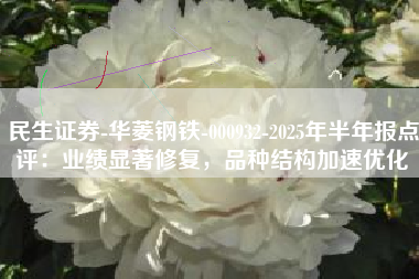 民生证券-华菱钢铁-000932-2025年半年报点评：业绩显著修复，品种结构加速优化