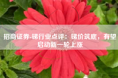 招商证券-锑行业点评：锑价筑底，有望启动新一轮上涨