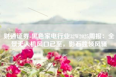 财通证券-黑色家电行业32W2025周报：全景无人机风口已至，影石独领风骚