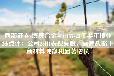 西部证券-博威合金-601137-25年半年报业绩点评：公司25H1表现亮眼，高端战略下新材料吨净利显著增长