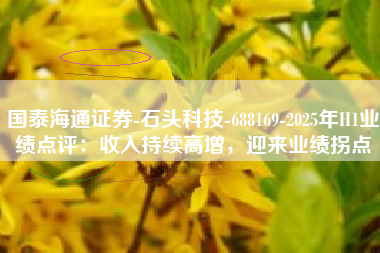 国泰海通证券-石头科技-688169-2025年H1业绩点评：收入持续高增，迎来业绩拐点