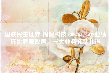 国联民生证券-锦浪科技-300763-25Q2业绩环比显著改善，三大业务齐头并进