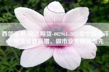 西部证券-瑞达期货-002961-2025年中报点评：期货资管高增、做市业务保持领先