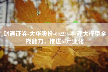 财通证券-大华股份-002236-构建大模型全栈能力，推进AI产业化