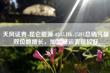 天风证券-昆仑能源-0135.HK-25H1总销气量双位数增长，加工储运表现较好