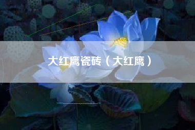 大红鹰瓷砖（大红鹰）