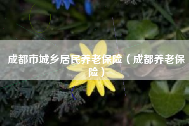 成都市城乡居民养老保险（成都养老保险）