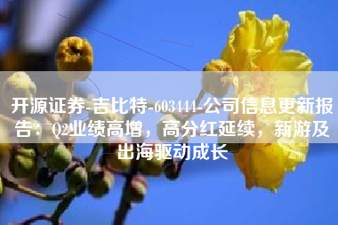 开源证券-吉比特-603444-公司信息更新报告：Q2业绩高增，高分红延续，新游及出海驱动成长