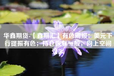 华鑫期货-【鑫期汇】有色周报：美元下行提振有色；持仓恢复一般，向上空间受限