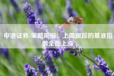 申港证券-策略周报：上周跟踪的基准指数全面上涨