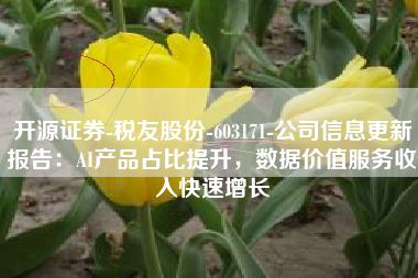 开源证券-税友股份-603171-公司信息更新报告：AI产品占比提升，数据价值服务收入快速增长