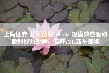 上海证券-北汽蓝谷-600733-规模效应驱动盈利能力改善，看好25H2新车周期