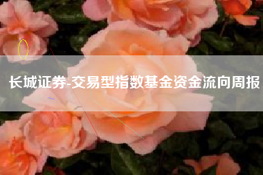长城证券-交易型指数基金资金流向周报
