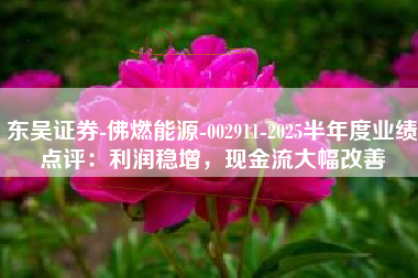 东吴证券-佛燃能源-002911-2025半年度业绩点评：利润稳增，现金流大幅改善