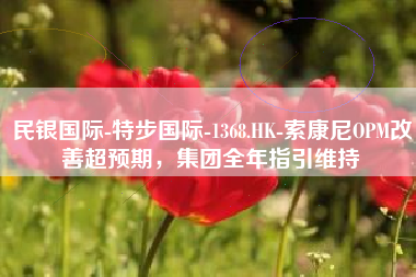 民银国际-特步国际-1368.HK-索康尼OPM改善超预期，集团全年指引维持