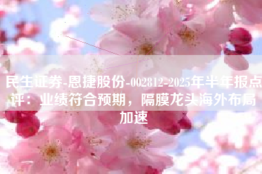 民生证券-恩捷股份-002812-2025年半年报点评：业绩符合预期，隔膜龙头海外布局加速