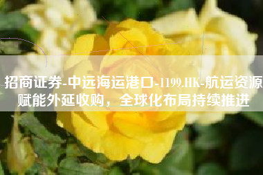 招商证券-中远海运港口-1199.HK-航运资源赋能外延收购，全球化布局持续推进