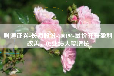 财通证券-长海股份-300196-量价齐升盈利改善，Q2业绩大幅增长