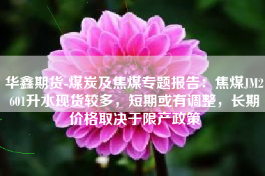 华鑫期货-煤炭及焦煤专题报告：焦煤JM2601升水现货较多，短期或有调整，长期价格取决于限产政策