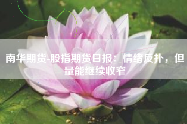 南华期货-股指期货日报：情绪反扑，但量能继续收窄