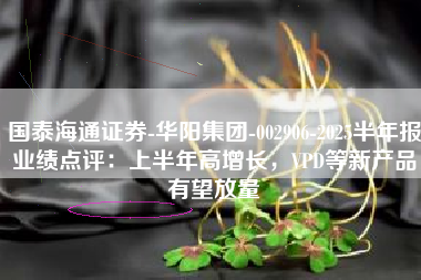 国泰海通证券-华阳集团-002906-2025半年报业绩点评：上半年高增长，VPD等新产品有望放量