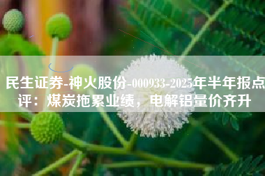 民生证券-神火股份-000933-2025年半年报点评：煤炭拖累业绩，电解铝量价齐升
