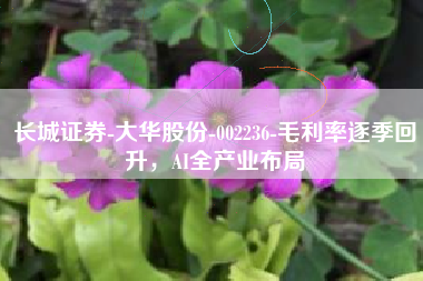 长城证券-大华股份-002236-毛利率逐季回升，AI全产业布局