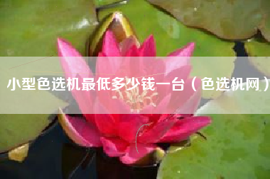 小型色选机最低多少钱一台（色选机网）