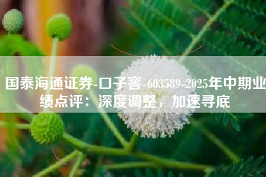 国泰海通证券-口子窖-603589-2025年中期业绩点评：深度调整，加速寻底