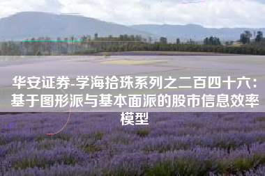 华安证券-学海拾珠系列之二百四十六：基于图形派与基本面派的股市信息效率模型