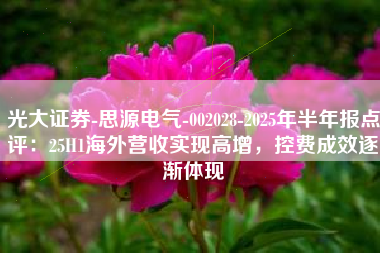 光大证券-思源电气-002028-2025年半年报点评：25H1海外营收实现高增，控费成效逐渐体现