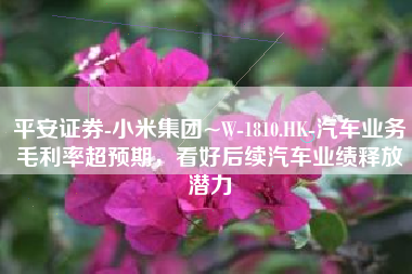 平安证券-小米集团~W-1810.HK-汽车业务毛利率超预期，看好后续汽车业绩释放潜力