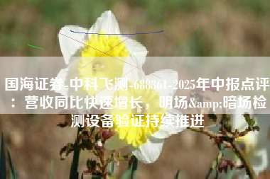 国海证券-中科飞测-688361-2025年中报点评：营收同比快速增长，明场&暗场检测设备验证持续推进