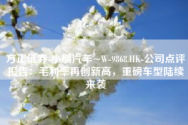 方正证券-小鹏汽车~W-9868.HK-公司点评报告：毛利率再创新高，重磅车型陆续来袭