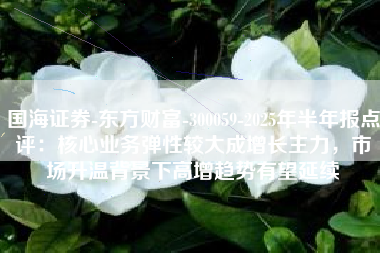 国海证券-东方财富-300059-2025年半年报点评：核心业务弹性较大成增长主力，市场升温背景下高增趋势有望延续