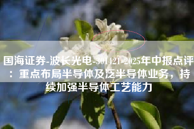国海证券-波长光电-301421-2025年中报点评：重点布局半导体及泛半导体业务，持续加强半导体工艺能力